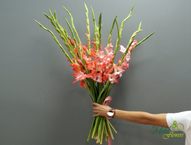 Pink Gladiolus (made to order, 10 days) photo